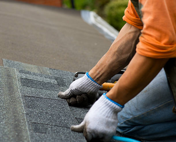 Quick and Trustworthy Emergency Roof Repair Services in Shady Side, MD