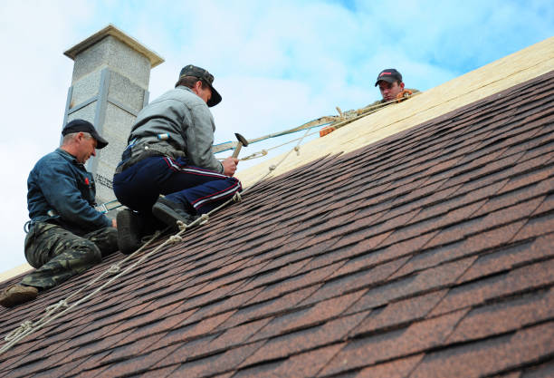 Best Best Roofing Contractors  in Shady Side, MD